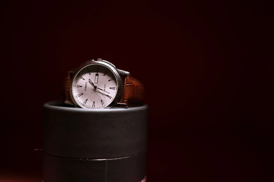 Watch Winding Box Buyer's Guide: Keep Automatics Running